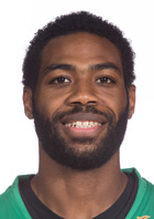 אמיר סלסטין