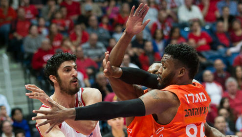 פישר חזר, האלופה גברה על הכתומים