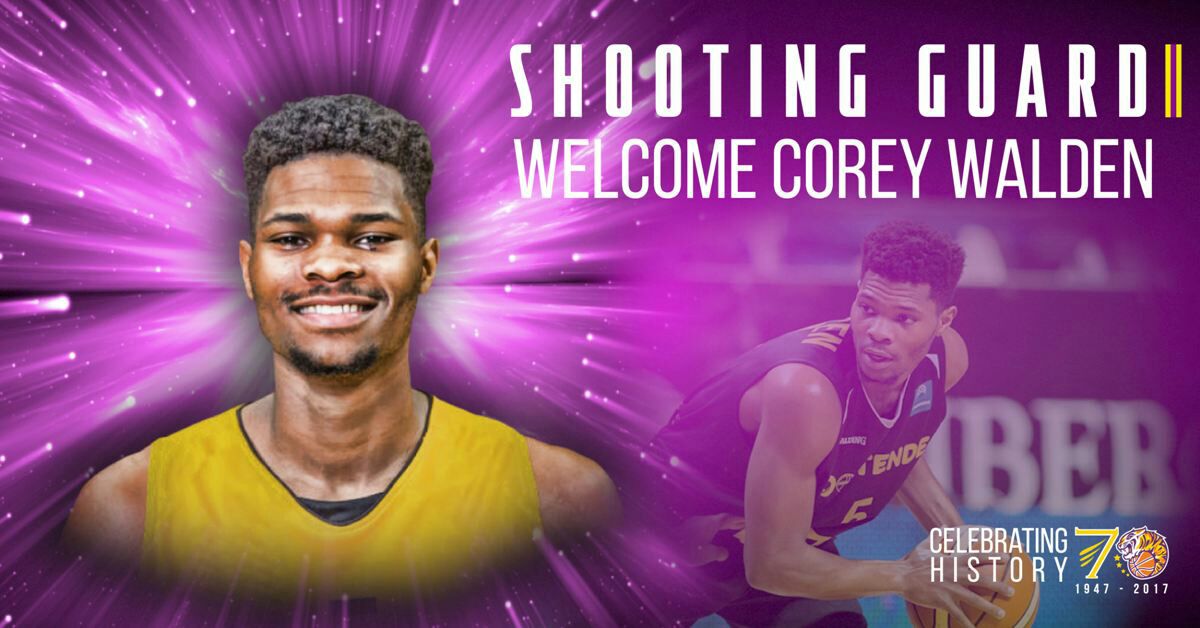 תוספת לפאזל של הסגולים: קורי וולדן