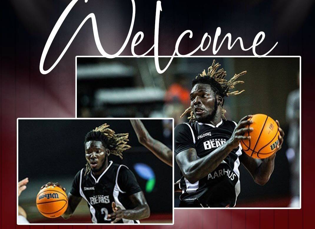 פניית פרסה: דיאנדרה פינקני שוב בחיפה