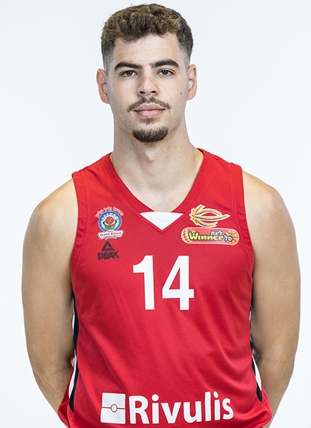 יהלי שטיינהאור