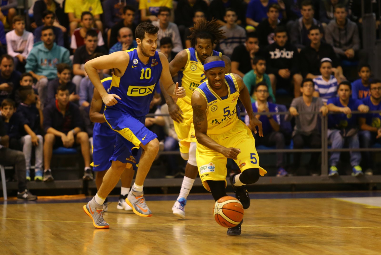 הערב: הדולפינים מגיעים למנורה מבטחים