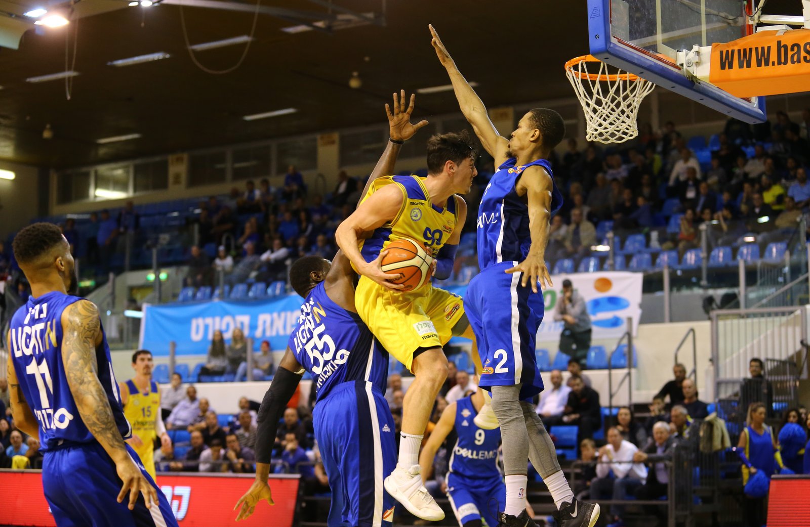 עלו לשלוש: "הדולפינים" לא עוצרים