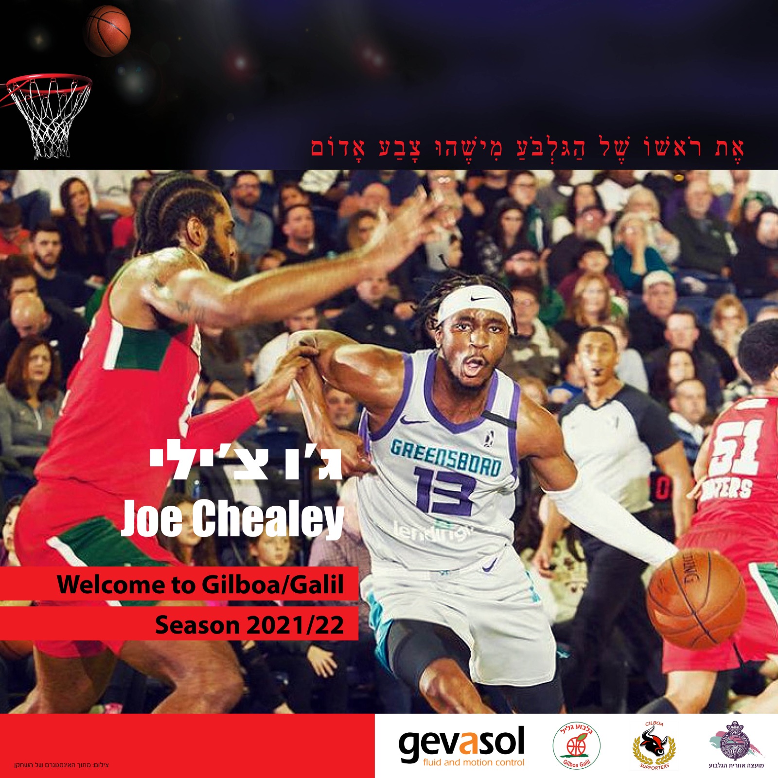 זר ראשון לגלבוע/גליל: ג'ו צ'ילי