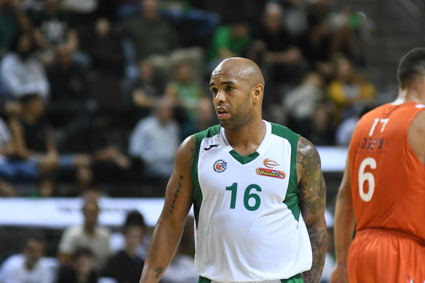 הערב: העולה החדשה נגד "הדולפינים"