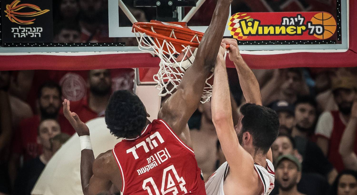 צפו: סיום עונה מרשים לגור לביא