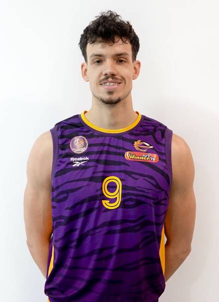 הנס ואנוויין