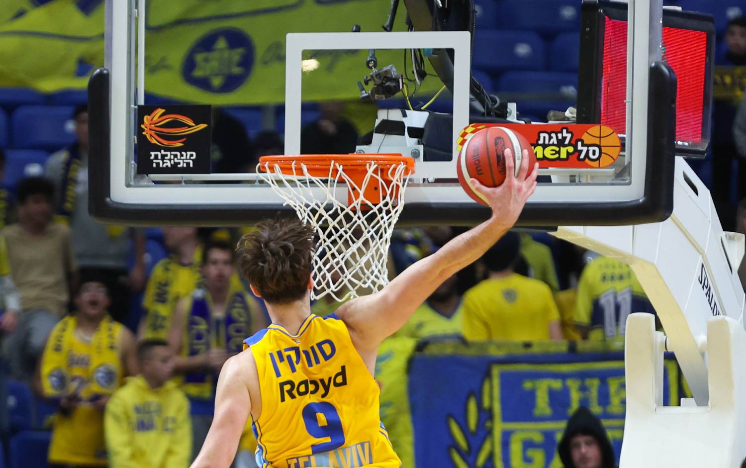 צפו: מקבץ ההטבעות של רומן סורקין