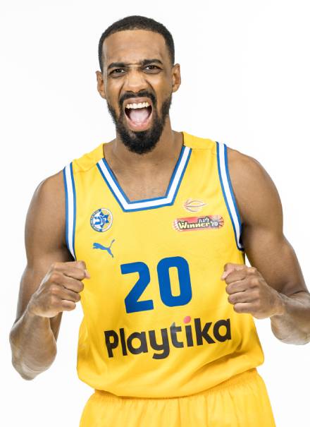 אוסטין הולינס