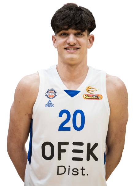 אלון מיכאלי