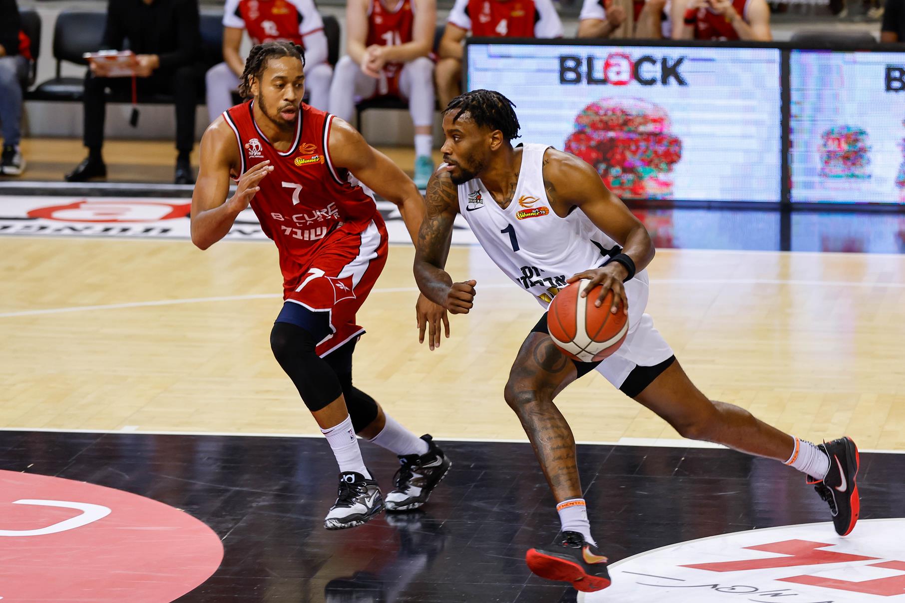 הערב: בכורה לגורקה על הקווים נגד אילת