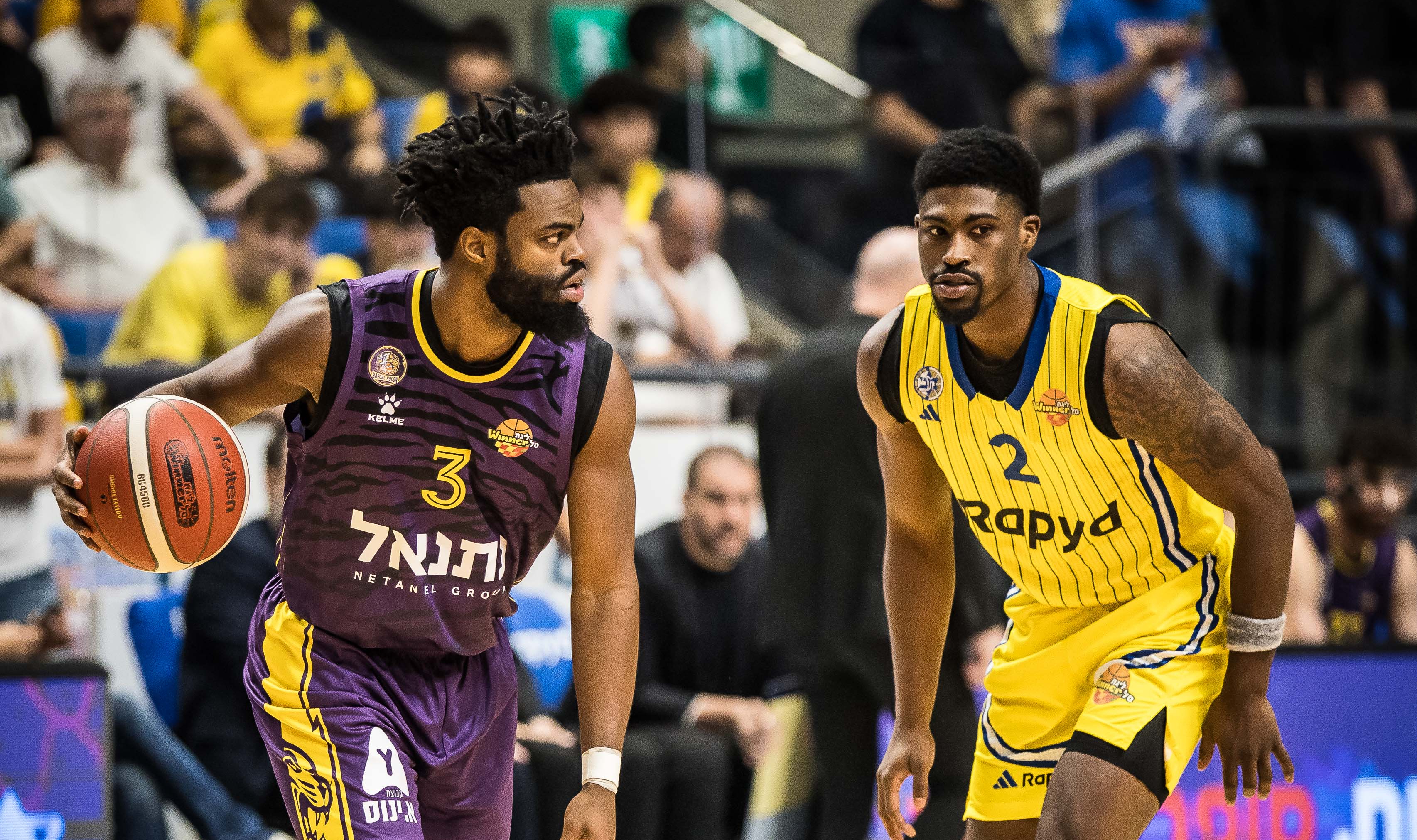 הערב: הסגולים יגמלו לצהובים בהיכל טוטו?