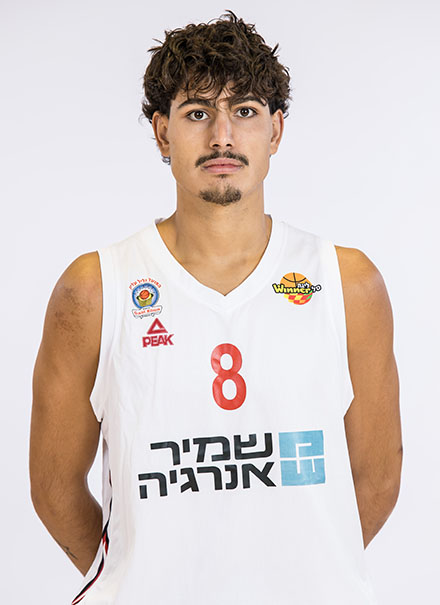 אריאל סלע