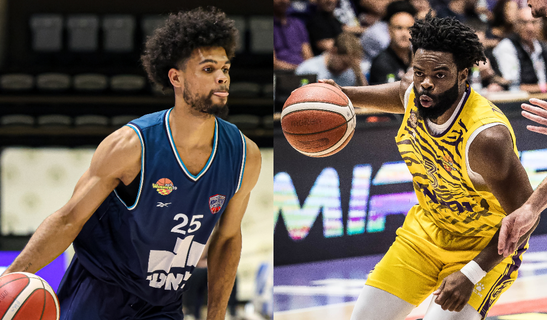 הערב: הסגולים רוצים להישאר מושלמים